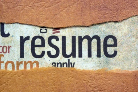 adding hobbies and interests in resume